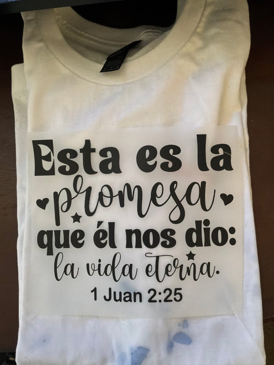 Esta es la promesa que el nos dio: La vida eterna 1 Juan 2:25