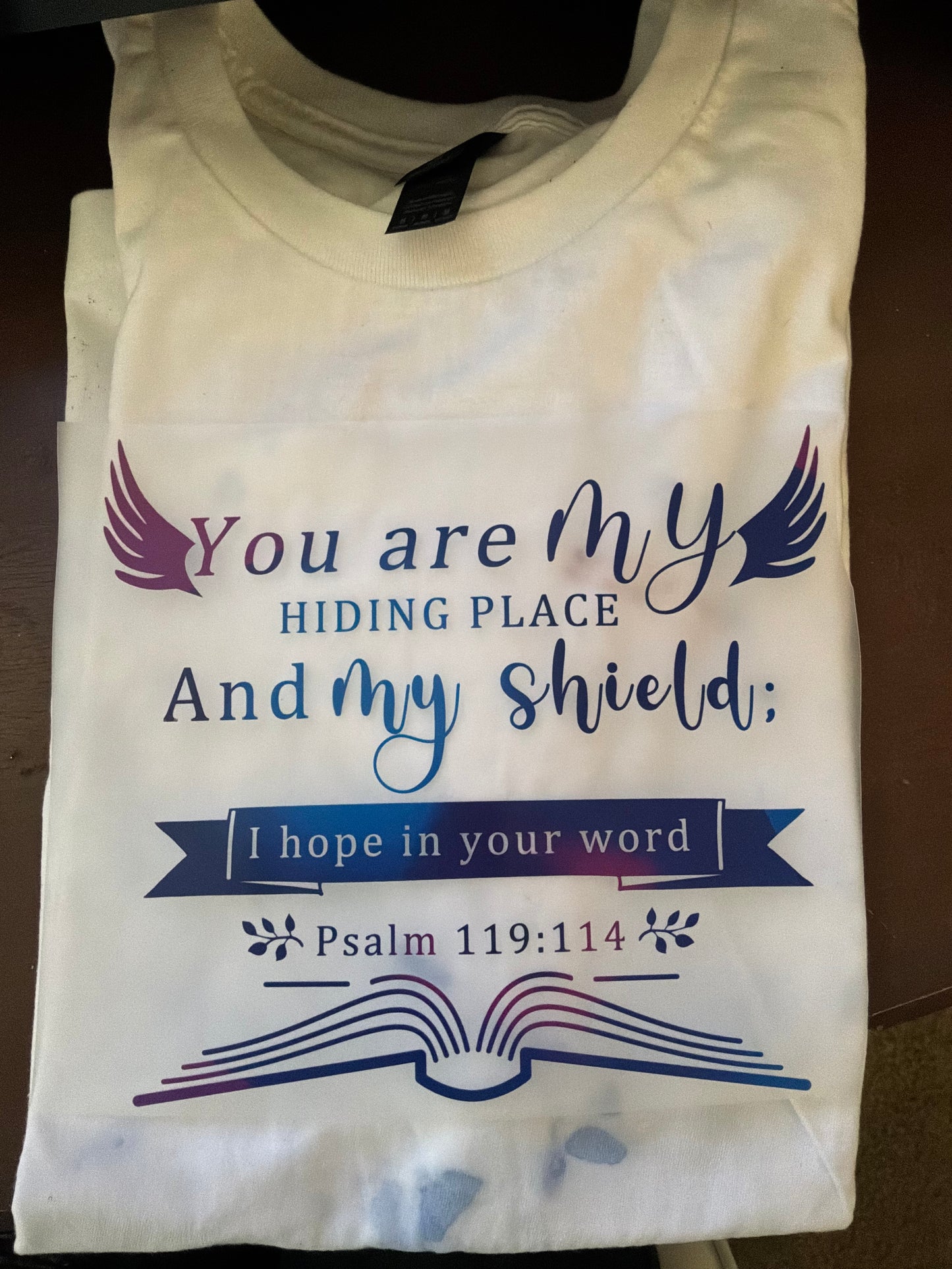 You are my hiding place and my shield I hope in your word Psalm 119:114