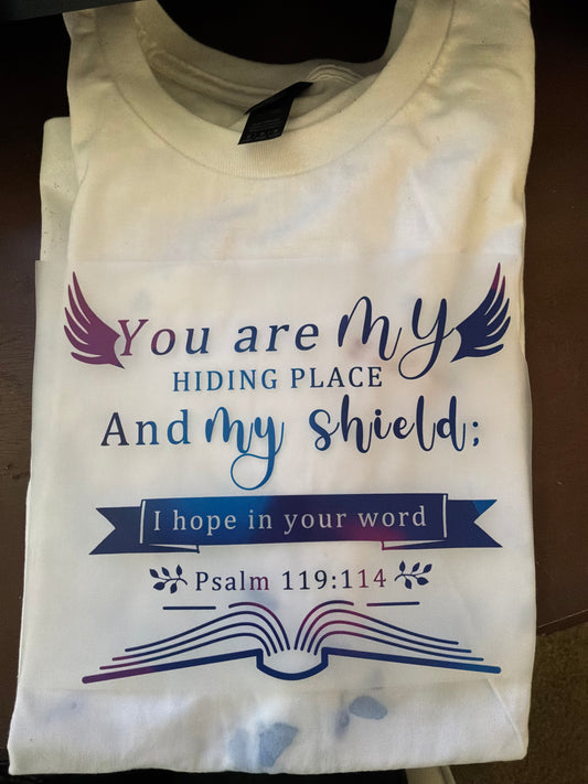 You are my hiding place and my shield I hope in your word Psalm 119:114